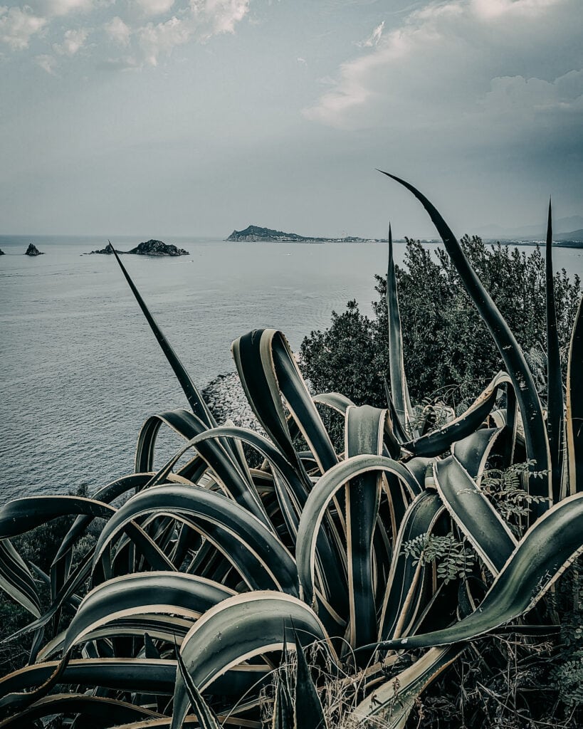 Coastal landscape with succulents and distant islands under cloudy sky.