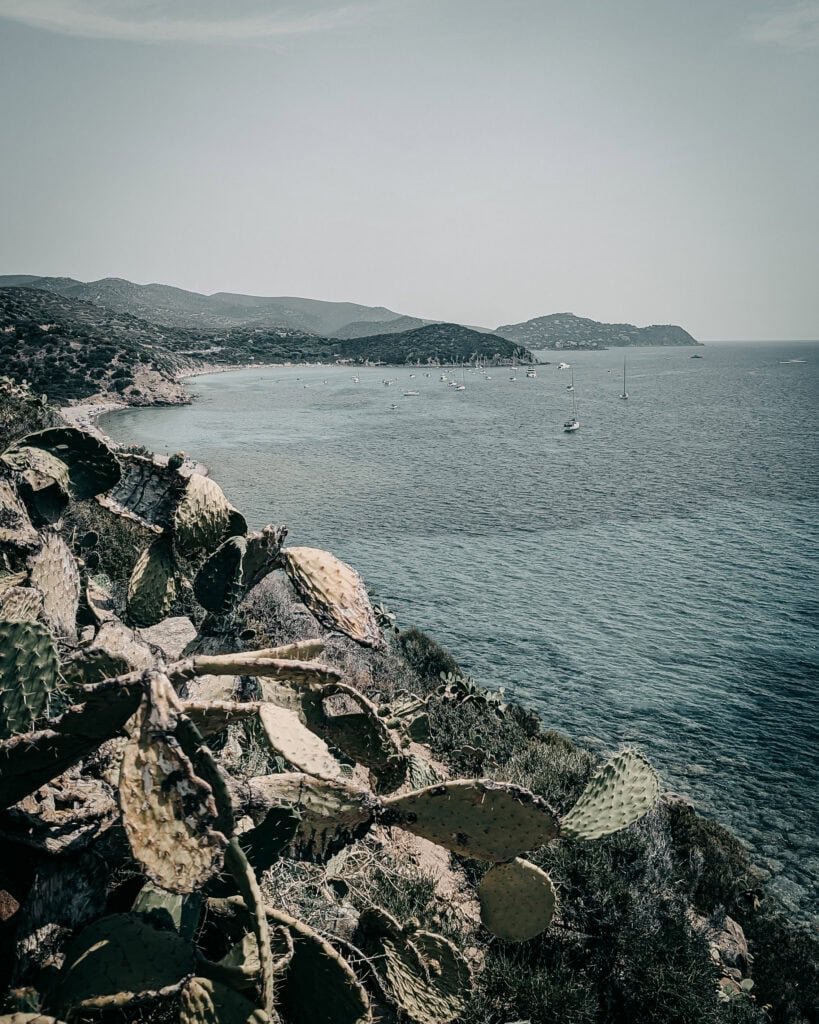 Coastal view with rocky shoreline and cacti in the foreground.