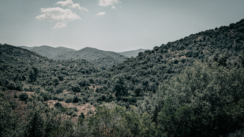 Beautiful mountain landscape with lush forests and rolling hills.