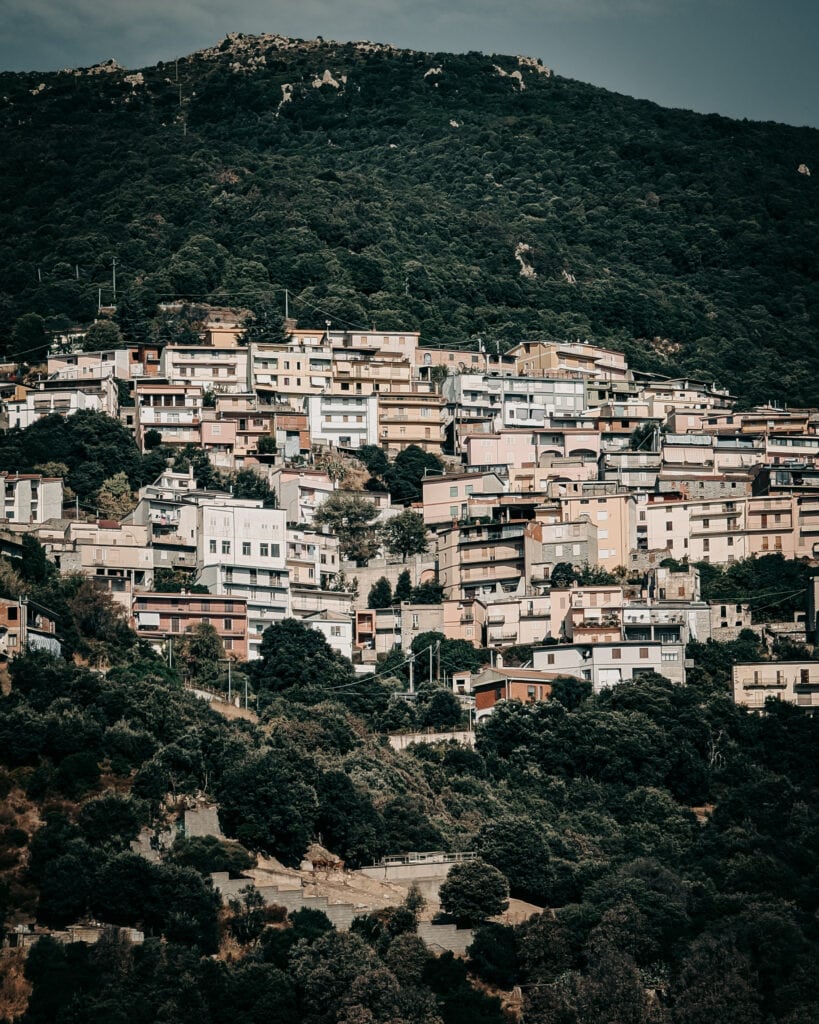 Hillside neighborhood with colorful houses and lush green trees.