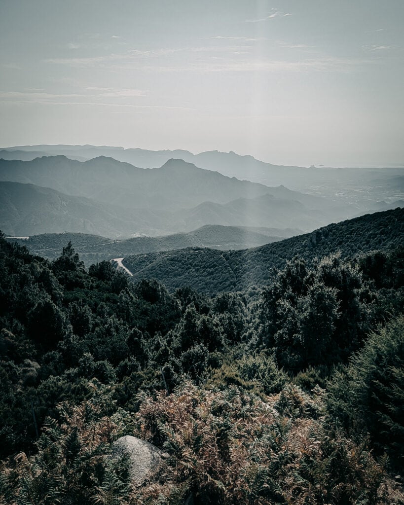 Beautiful mountain view with lush forests and distant mountain ranges.